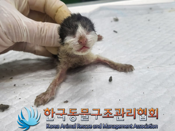 한국동물구조관리협회_411315202300474